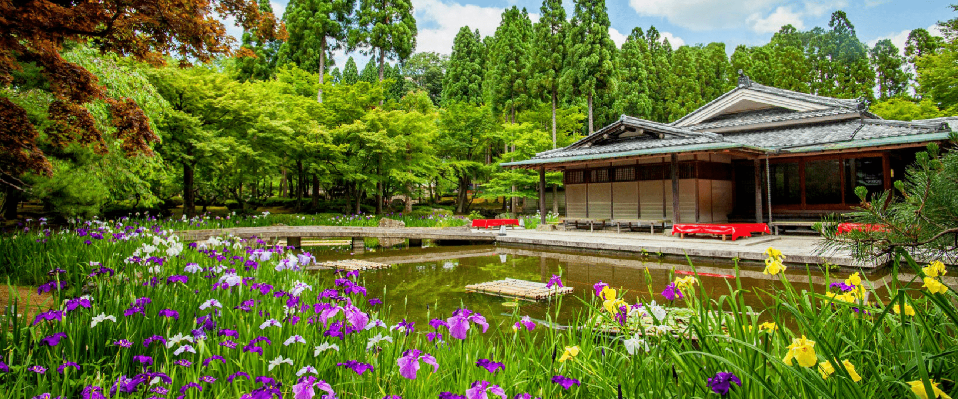 【金質旅遊獎】關西花鳥風月七日 
